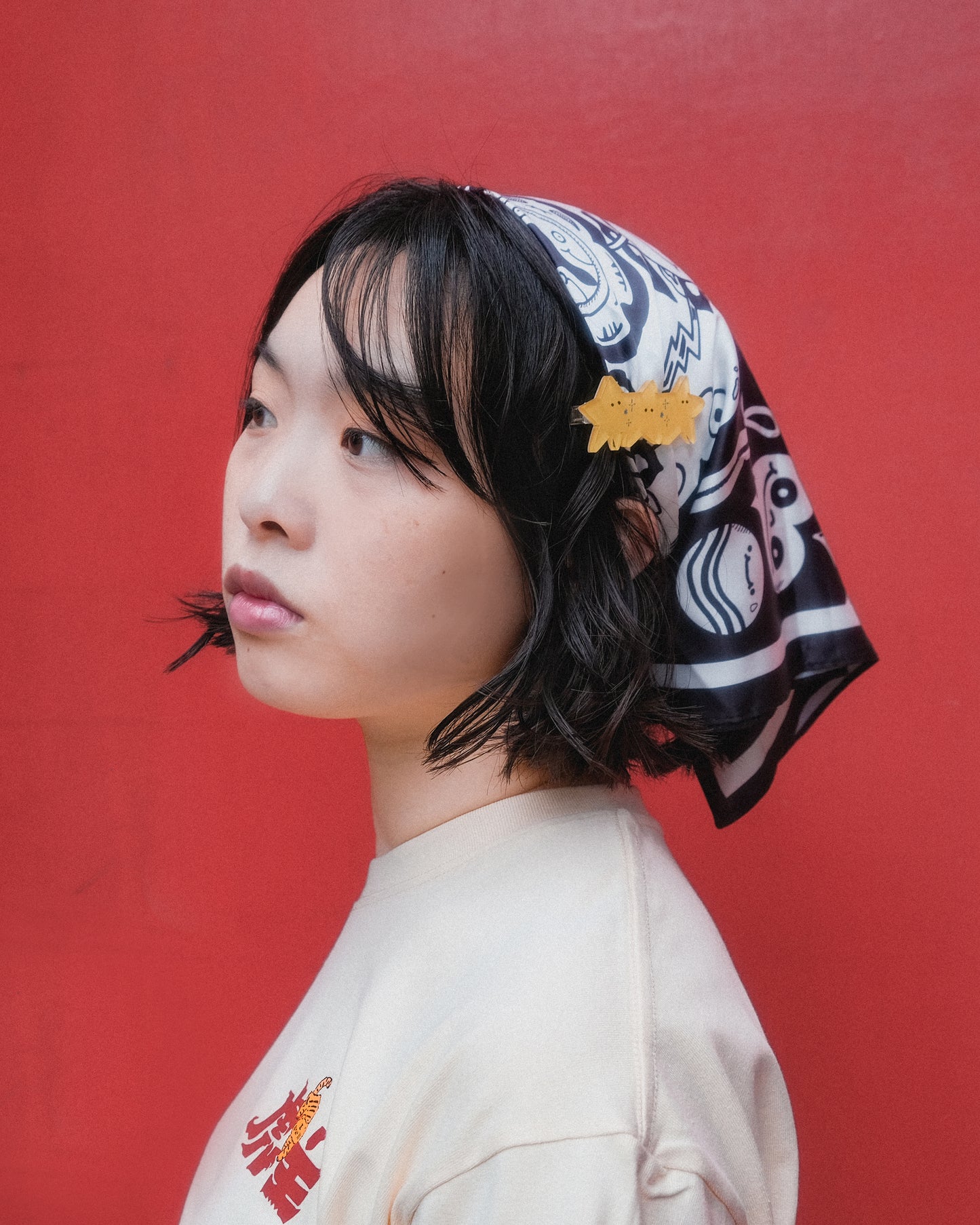 如虎髮夾組