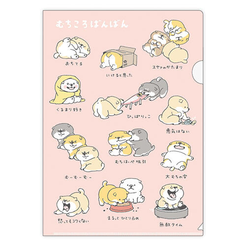 Mind Wave A4 folder(2026年款！有齊喵之助﹑柴犬犬﹑豆豆雞！)