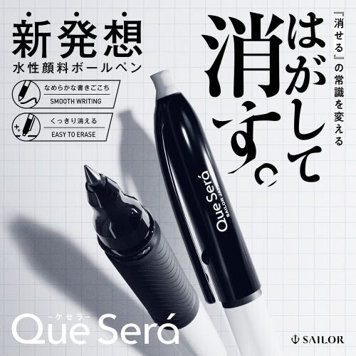 Que Será 擦得甩原子筆 及 筆芯替芯 (黑/紅/藍/ 0.8mm)
